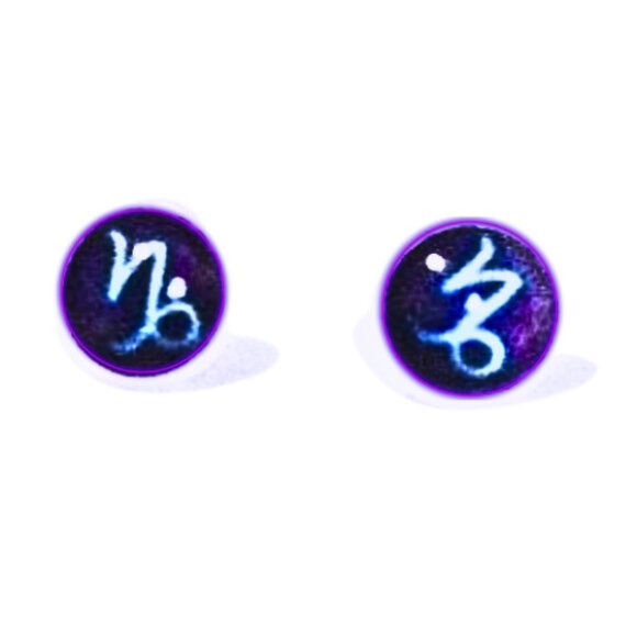 CAPRICORN  CABOCHON ZODIAC EARRINGS - Picture 2 of 4